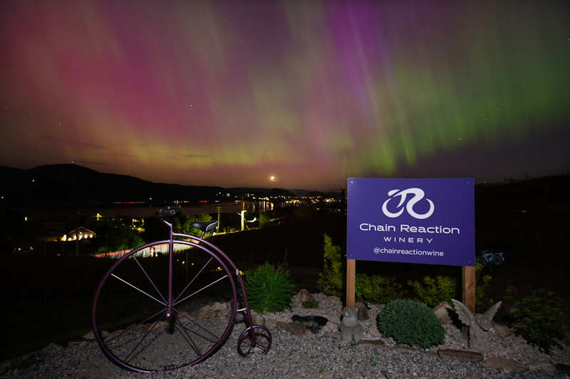 Chain Reaction Winery